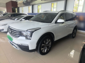 广汽传祺 传祺GS8 2019款 390T 两驱豪华智联版（七座）