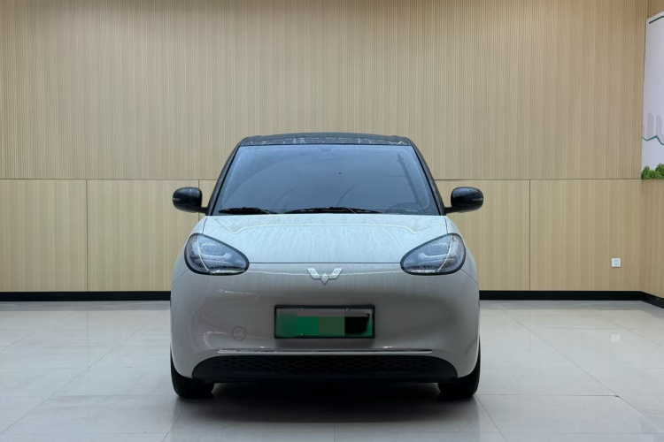 五菱汽车 五菱缤果 2024款 333km 悦享款车身外观6001