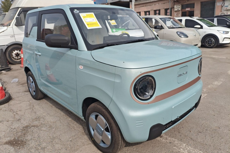 吉利银河 2024款 熊猫mini 200km 耐力熊车身外观6002