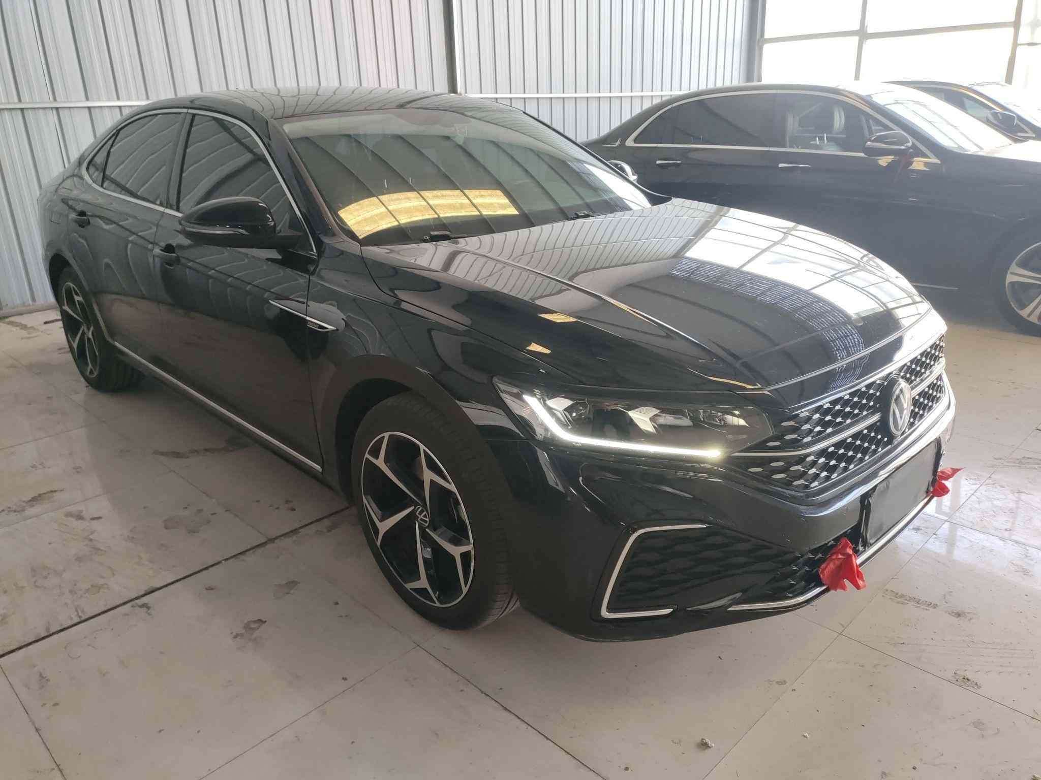 大众 帕萨特 2024款 380TSI 星空龙腾版(5)