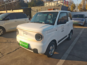 吉利银河 2024款 熊猫mini 200km 龙腾PRO版