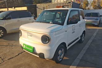 吉利银河 2024款 熊猫mini 200km 龙腾PRO版