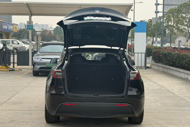 特斯拉 Model Y 2021款 标准续航后驱版车身外观6008
