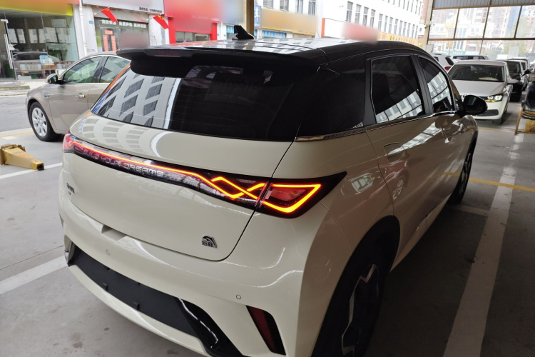 比亚迪 海豚 2021款 405km 时尚版车身外观6005