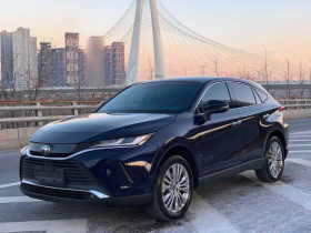丰田 凌放HARRIER 2022款 2.0L CVT两驱尊享版