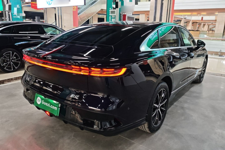 岚图汽车 岚图追光 2024款 PHEV 四驱超长续航行政版车身外观7