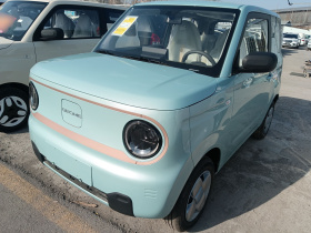 吉利银河 2024款 熊猫mini 200km 耐力熊