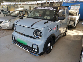 吉利银河 2025款 210km 熊猫卡丁