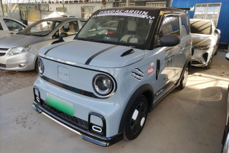 吉利银河 2025款 210km 熊猫卡丁