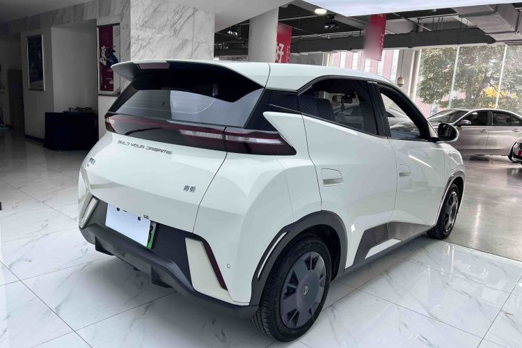 比亚迪 海鸥 2024款 荣耀版 305km 活力版车身外观6006