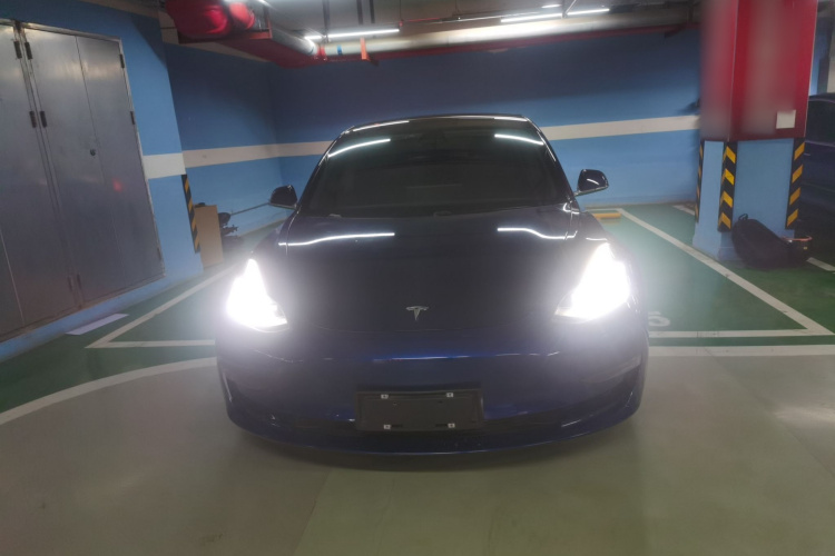 特斯拉 Model 3(进口) 2019款 长续航后驱版车身外观2