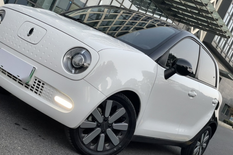 欧拉黑猫 2019款 351km 灵智版局部细节9003