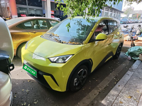 比亚迪 海鸥 2023款 飞翔版