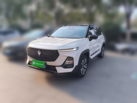 宝骏RS-5 2019款 1.5T CVT智能驾控旗舰版 国VI