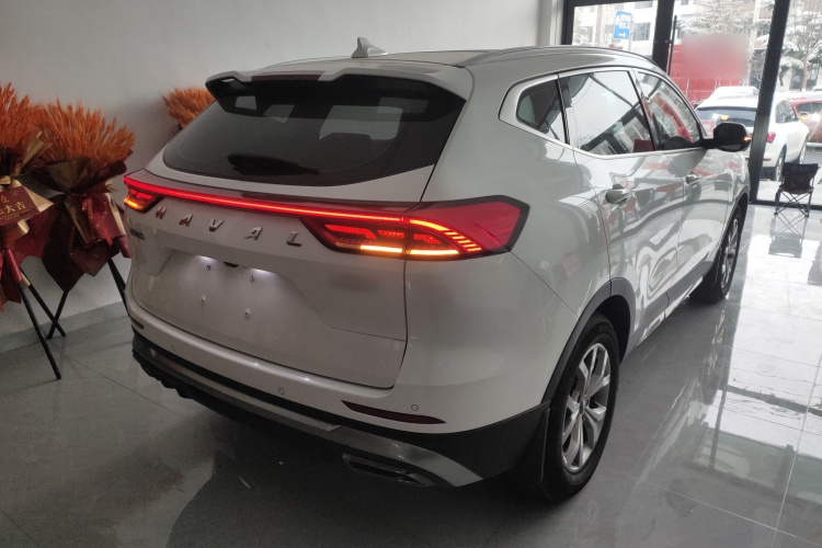 哈弗H6 2021款 国潮版 1.5T 自动冠军版车身外观6005