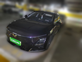 五菱汽车 五菱星光 2024款 共创版 70 标准型