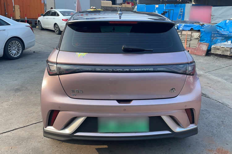 比亚迪 海豚 2023款 401km 骑士版车身外观6