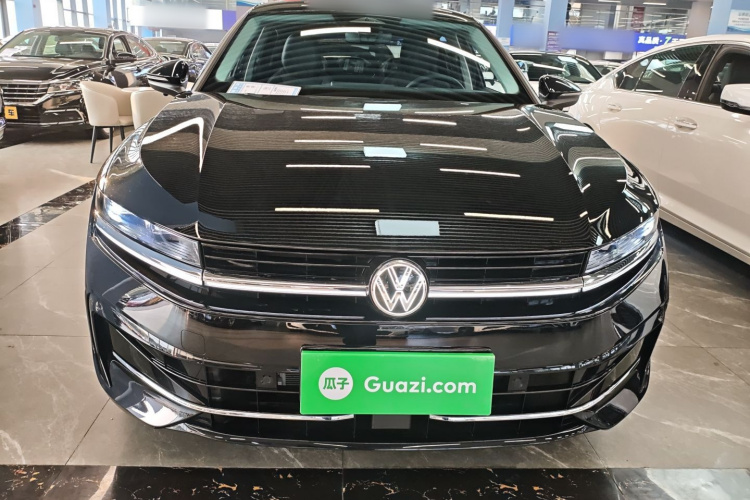 大众 迈腾 2024款  300TSI DSG尊享版显眼包车身外观2