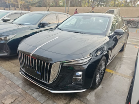 红旗H5 2025款 1.5T DCT旗韵版