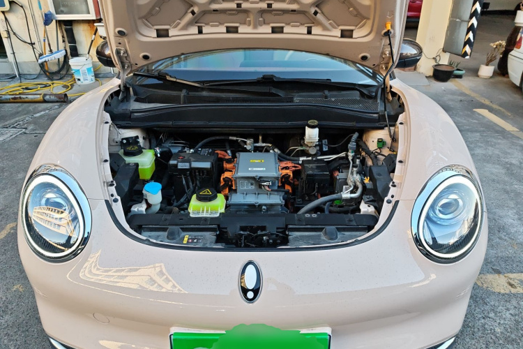 欧拉好猫 2022款 莫兰迪版 400km标准续航 尊贵型 磷酸铁锂局部细节24