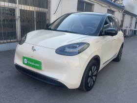 五菱汽车 五菱缤果 2025款 333km 灵犀尊享款