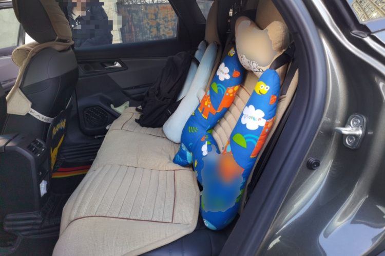 雪铁龙 凡尔赛C5 X 2022款 1.6T 享不凡 虎年开门红版中控内饰21