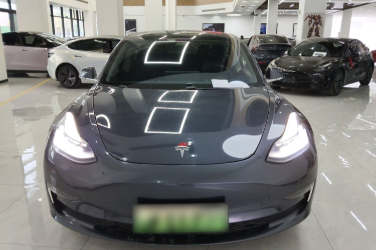 特斯拉 Model 3(进口) 2019款 长续航后驱版车身外观2