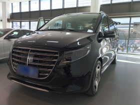 奔驰V级 2024款 V 300 L 长轴距豪华版
