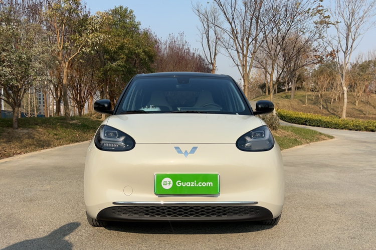 五菱汽车 五菱缤果 2023款 333km 悦享+款车身外观6001