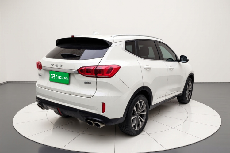 魏牌 VV6 2020款 2.0T 两驱智享+车身外观7