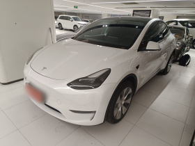 特斯拉 Model Y 2022款 改款 长续航全轮驱动版