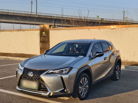 雷克萨斯UX新能源 2020款 300e 纯·悦版