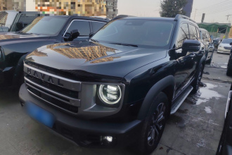 哈弗大狗 2024款 1.5T DCT边牧版