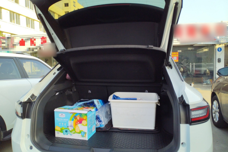 大众 ID.4 X 2024款 纯净智享版局部细节23