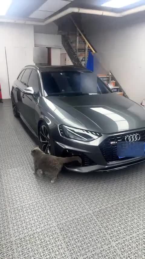 奥迪RS 4 2020款 RS 4 2.9T Avant讲解2