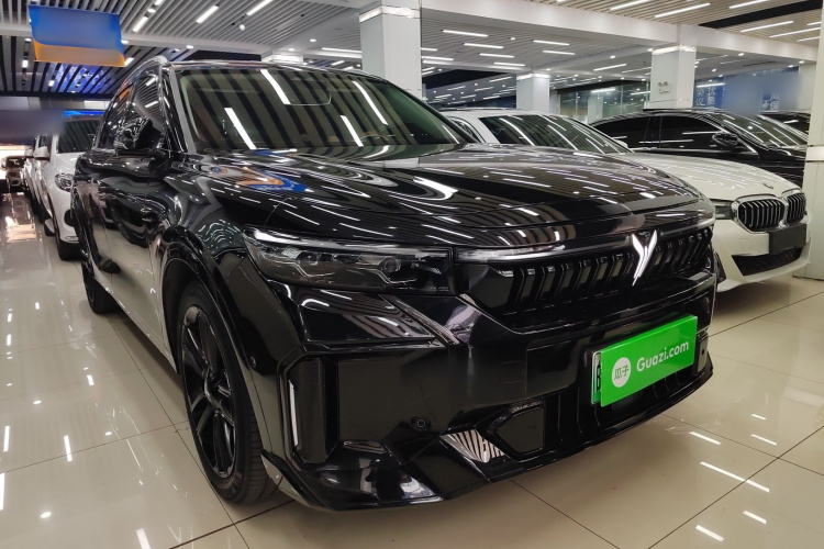 岚图汽车 岚图FREE 2024款 超长续航智驾版车身外观6002