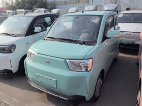 安徽猎豹 猎豹CS01 EV 2024款 实用型