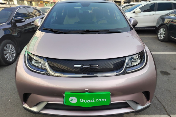 比亚迪 海豚 2021款 405km 自由版车身外观2