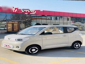 五菱汽车 宏光MINIEV 2024款 第三代 215km 青春版