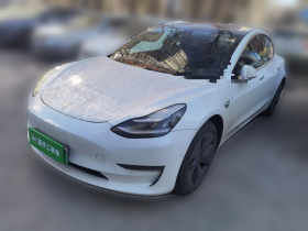 特斯拉 Model 3(进口) 2019款 长续航后驱版