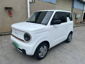 吉利银河 2024款 熊猫mini 200km 耐力熊