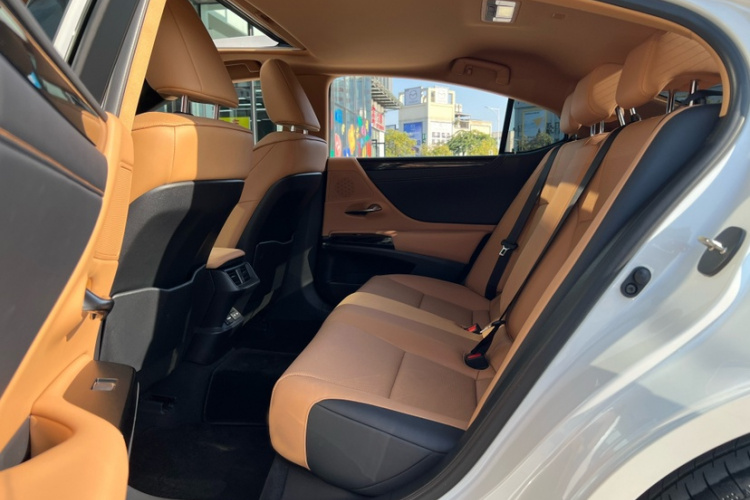 雷克萨斯ES 2022款 200 卓越版中控内饰7005