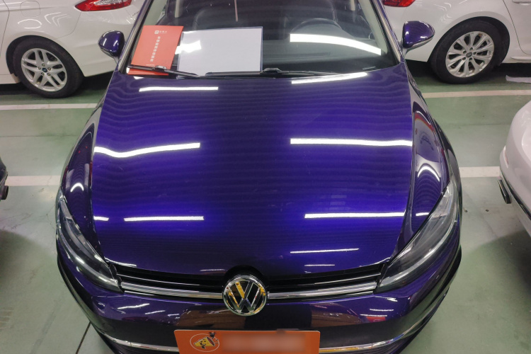 大众 高尔夫 2018款  230TSI 自动豪华型局部细节24