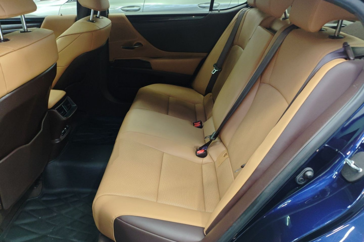 雷克萨斯ES 2020款 200 卓越版中控内饰21