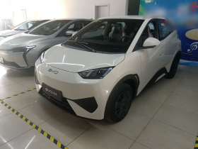 比亚迪 海鸥 2025款 智驾版 305km 活力版