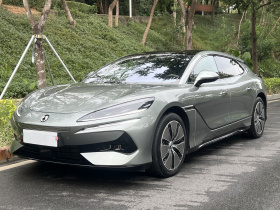 腾势Z9GT 2024款 1100四驱Max版