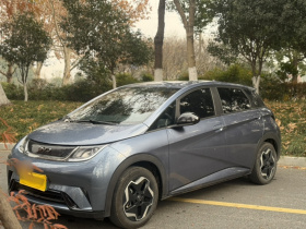 比亚迪 海豚 2025款 420km 活力版