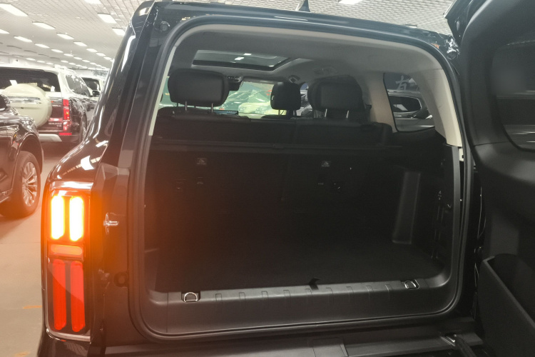 坦克500 2022款 3.0T 黑武士限定版 5座机舱底盘23