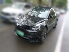 特斯拉 Model 3 2021款 标准续航后驱升级版