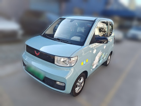 五菱汽车 宏光MINIEV 2020款 自在款 磷酸铁锂